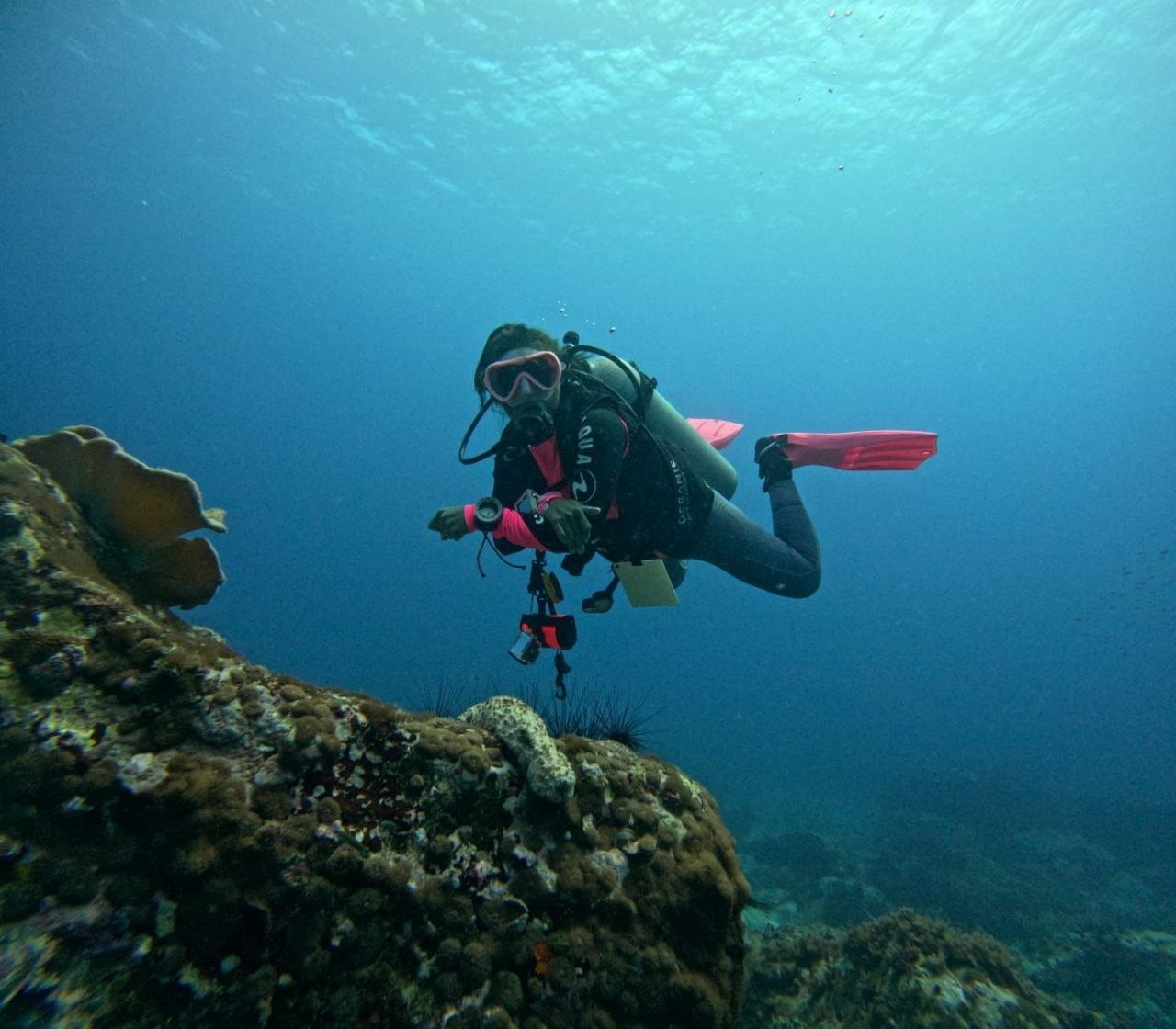 Refresher Dives